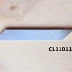 CL110119